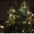 kerstboom